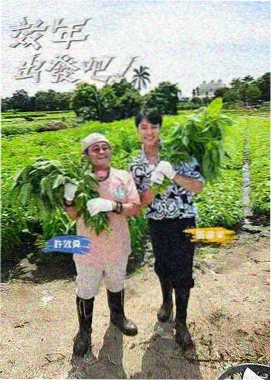 配音间日常综艺封面